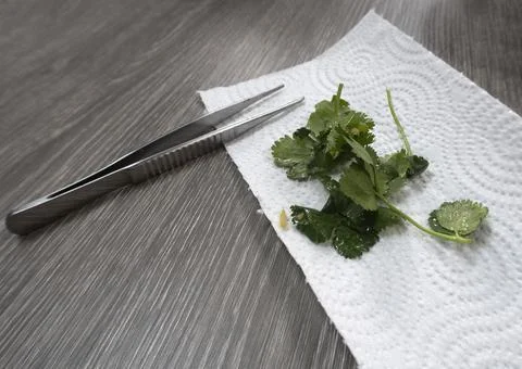 Vegetables in the kitchen before cooking Stock Photos