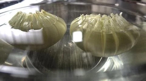 Vegetables in the kitchen before cooking Stock Photos
