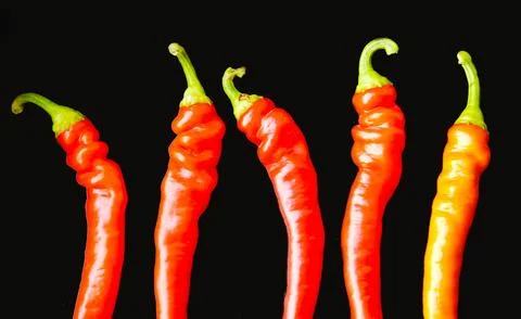 Vegetables in the kitchen Stock Photos