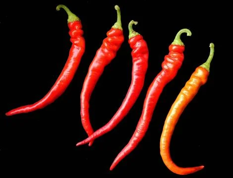 Vegetables in the kitchen Stock Photos