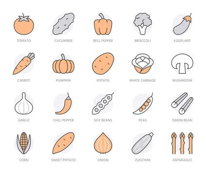 Vegetables line icon set. Pumpkin, cucumber, broccoli, carrot, zucchini Stock Illustration