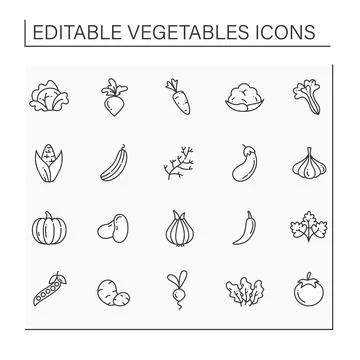 Vegetables line icons set Stock Illustration