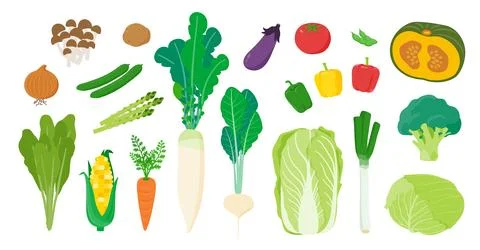 Vegetables line up White Back Stock Illustration