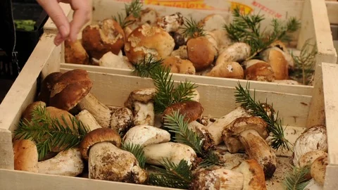 Vegetables market Stock Footage 87177182