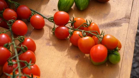Vegetables on the market Stock Footage 104680788