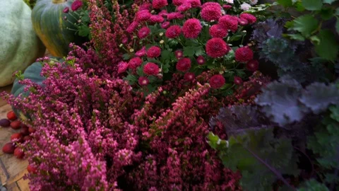Vegetables on the market Stock Footage 104680817