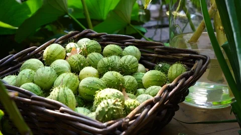 Vegetables on the market Stock Footage 104680858