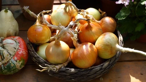 Vegetables on the market Stock Footage 104680878
