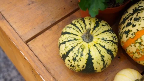 Vegetables on the market Stock Footage 104680945