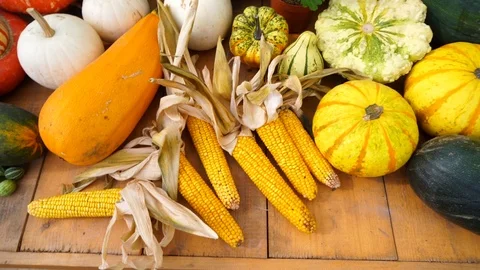 Vegetables on the market Stock Footage 104681000