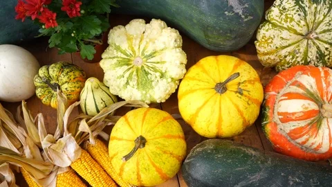 Vegetables on the market Stock Footage 104681012
