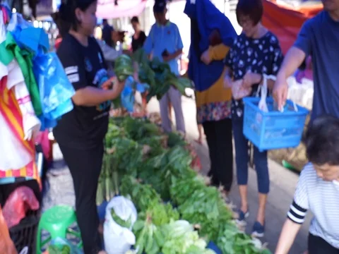 Vegetables in the market Stock Footage 105023516