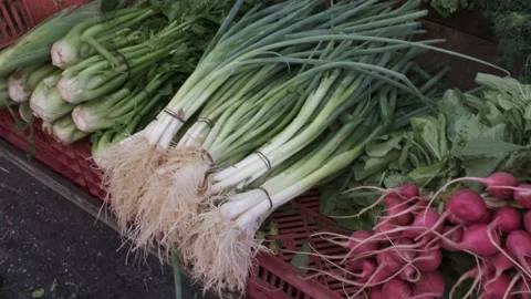 Vegetables at the market Stock Footage 160154116