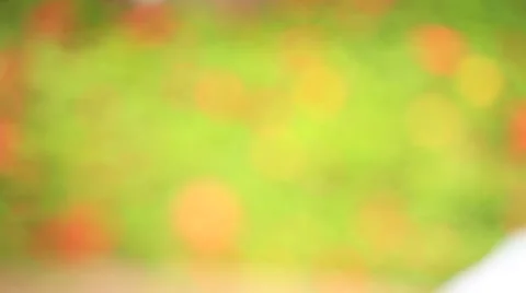 Vegetables on the Market. Textures Stockbeeldmateriaal 37782645