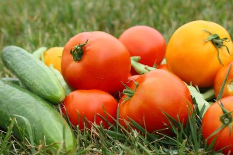 Vegetables outside in the grass Stock Photos