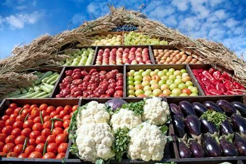 Vegetables Stock Photos