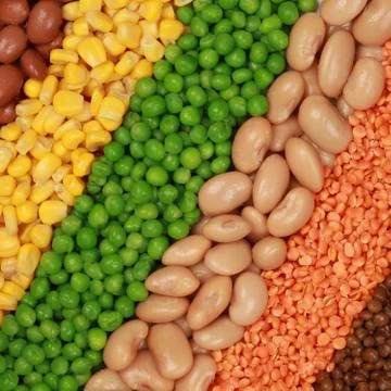 Vegetables Stock Photos