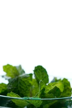 Vegetables Stock Photos