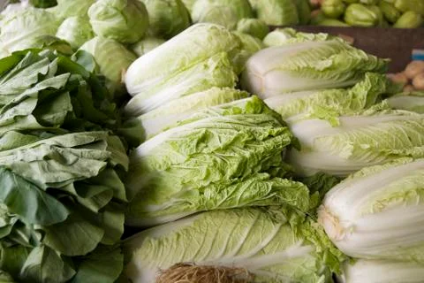 Vegetables Stock-Fotos