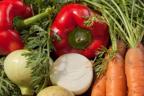 Vegetables Stock Photos