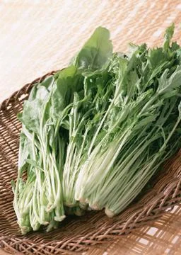 Vegetables Stock Photos