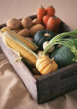 Vegetables Stock Photos