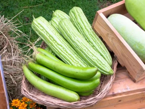 Vegetables Stock Photos