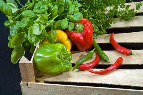 Vegetables Stock Photos