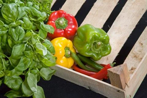 Vegetables 库存照片