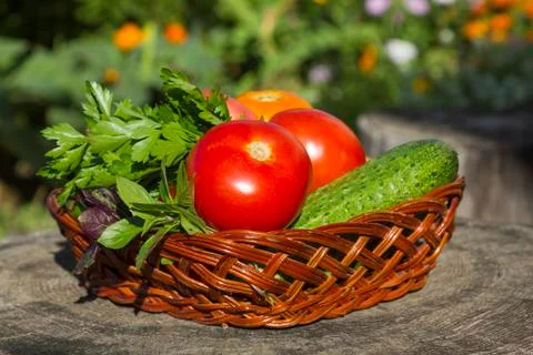 Vegetables Stock Photos