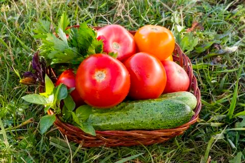 Vegetables Stock Photos