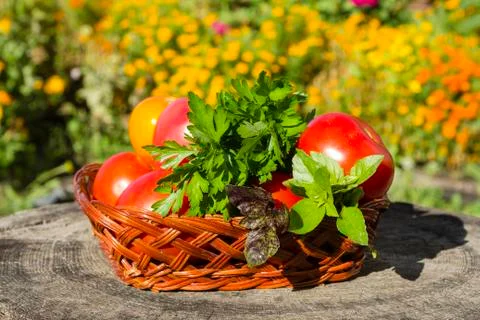 Vegetables Stock Photos