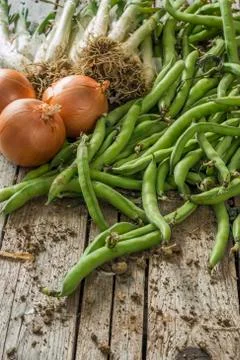 Vegetables Foto stock