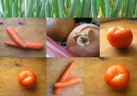 Vegetables. Stock Photos
