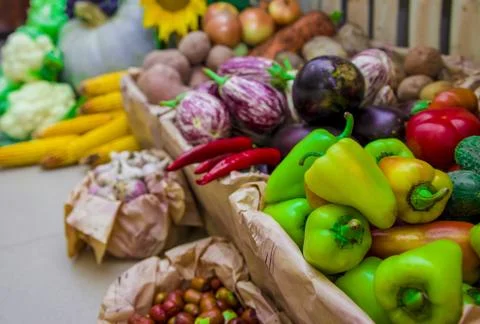 Vegetables	 Stock Photos
