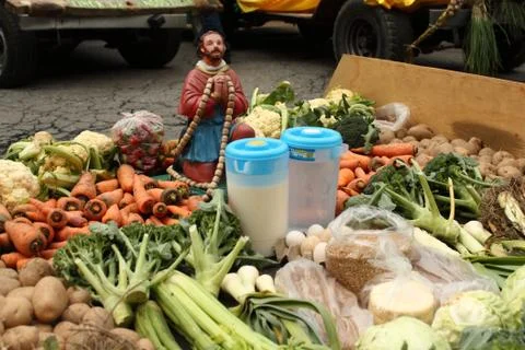 Vegetables Stock Photos