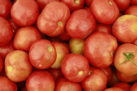 Vegetables Stock Photos