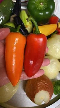 Vegetables Stock Photos