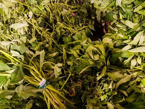 Vegetables Stock Photos