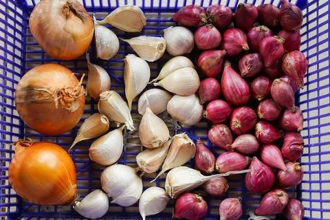 Vegetables Stock Photos