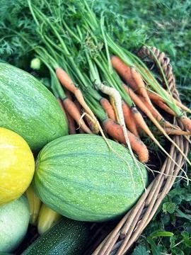 Vegetables Stock Photos