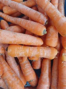 The vegetables Stock Photos