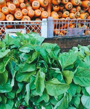 Vegetables Stock Photos