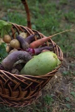 Vegetables Stock Photos