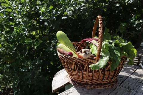 Vegetables Fotos Stock