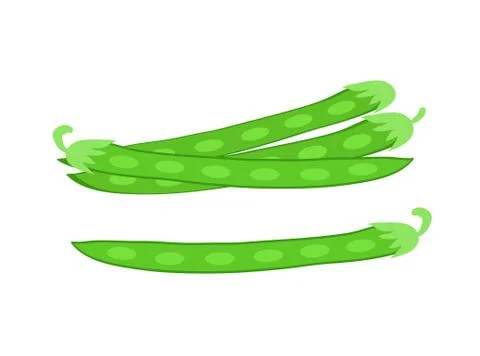 Vegetables. Pods of green bean. Vector illustration cartoon flat icon isolate Stock Illustration