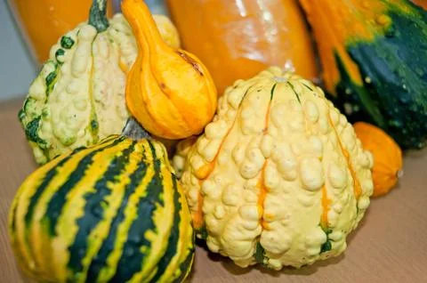 Vegetables pumpkin Foto stock