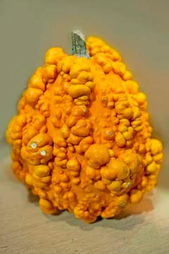 Vegetables pumpkin Stock Photos