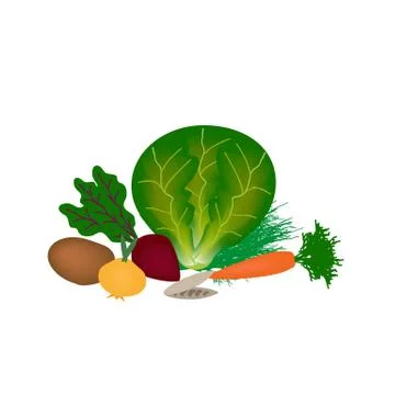 Vegetables for red borscht on an isolated background. Cabbage, carrots, onions Illustrazione stock