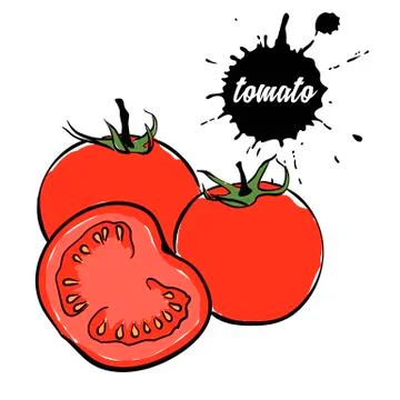 Vegetables red tomato Stock Illustration
